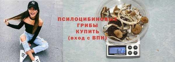 ГАЛЛЮЦИНОГЕННЫЕ ГРИБЫ Алексеевка